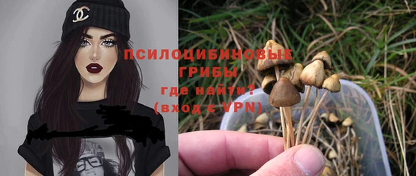 ECSTASY Абаза
