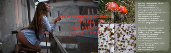 гидра Абинск