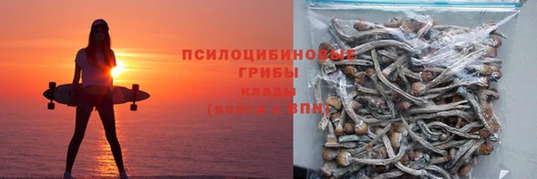 ECSTASY Абаза