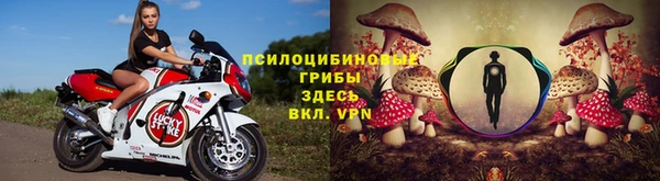 гидра Абинск