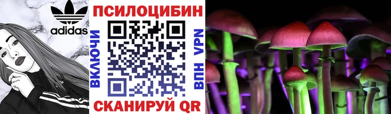 Галлюциногенные грибы Psilocybe  Южноуральск 