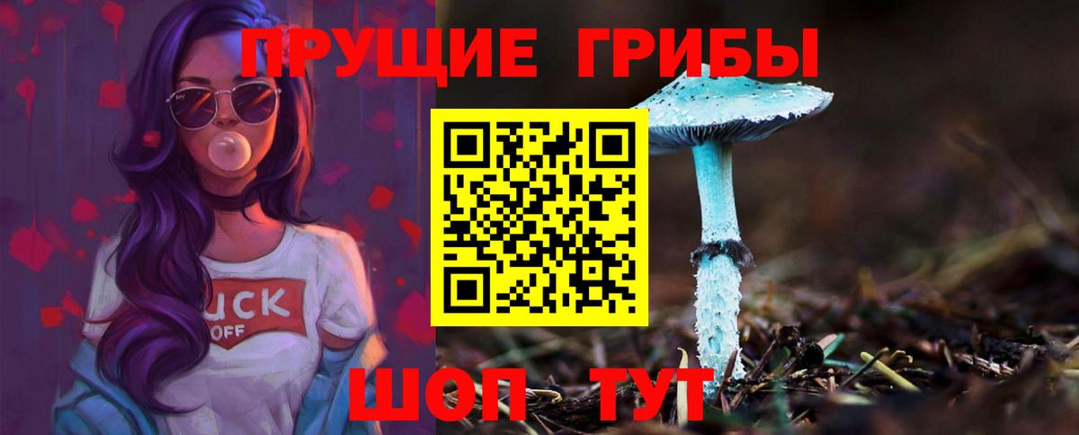 Галлюциногенные грибы Psilocybe  Вход с VPN  Псилоцибиновые грибы MAGIC MUSHROOMS  купить наркотик  Южноуральск 