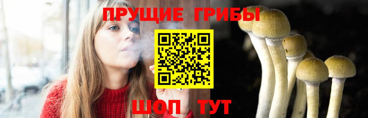 Галлюциногенные грибы мицелий Южноуральск